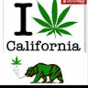 Meet your Posher, B dub 25000